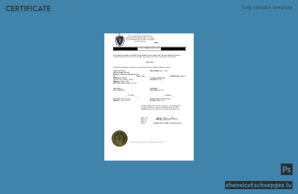 Beispielansicht einer Sterbeurkunde aus Massachusetts, USA